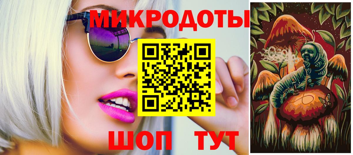 Галлюциногенные грибы Psilocybine cubensis Славянск-на-Кубани